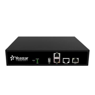 Yeastar ТE100