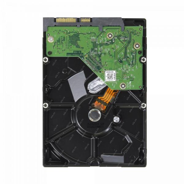 Western Digital Purple 3.5" 1000GB в Ташкенте - фото