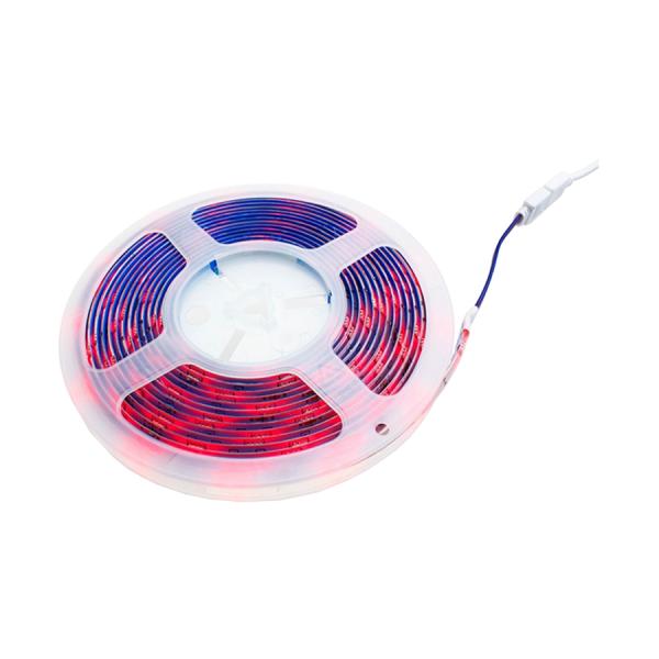 4Pin LED 5m Toshkentda - fotosurat