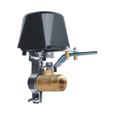 Tuya Smart / PST-FM400/ Водный, газовый