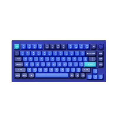 Keychron Q1 QMK Custom [Gateron Phantom Red] HotSwap RGB With Knob RU Navy Blue