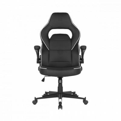 2E Gaming Hebi Black/White