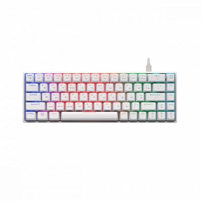 2E Gaming KG380 [Gateron Blue Switch] White UA