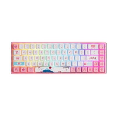 AKKO 3068B RGB PlusTokyo R2 [CS Jelly Pink]