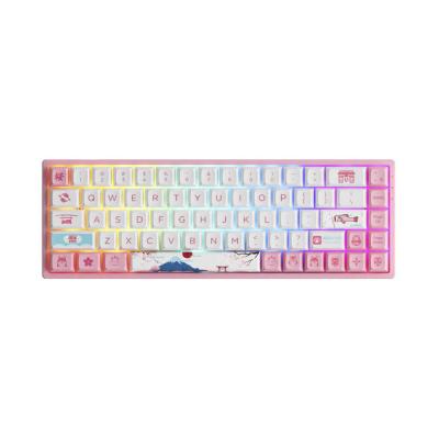 AKKO 3068B RGB PlusTokyo R2 [CS Jelly Purple]