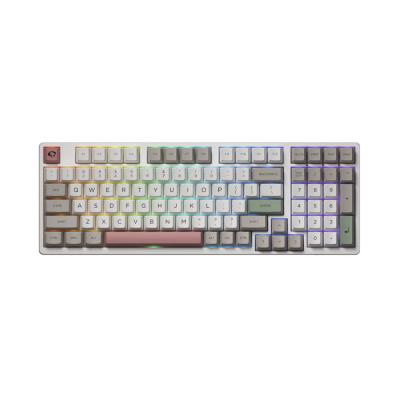 AKKO 3098B RGB 9009 [CS Jelly White]