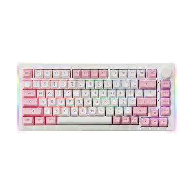 AKKO 5075B RGB Plus Prunus Lannesiana [CS Silver]