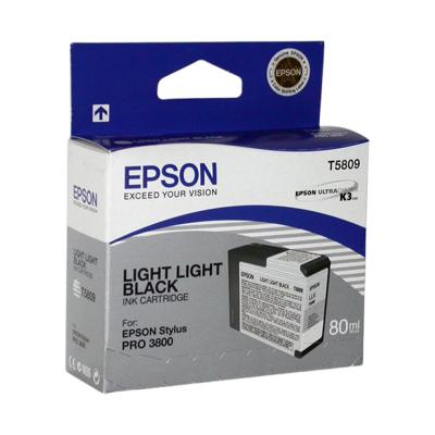 Epson C13T580900 Light Light Black 80ml