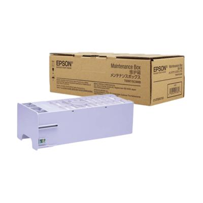 Epson C13T699700