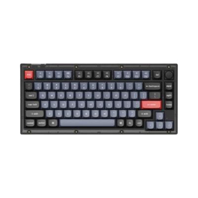 Keychron V1 QMK Knob RGB [Gateron G Pro Brown] HotSwap Frosted Black