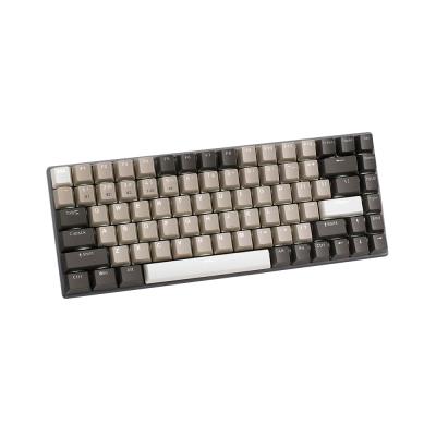 Rapoo V700-8A Grey White