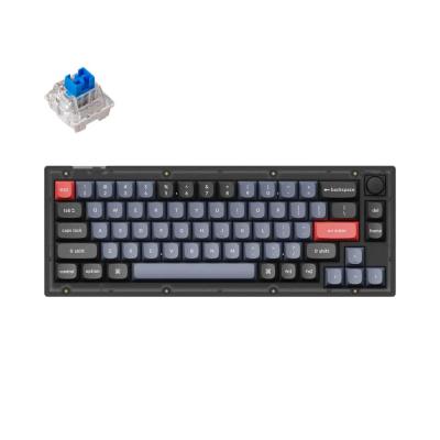Keychron V2 QMK Knob RGB [Keychron K PRO Blue] HotSwap Frosted Black