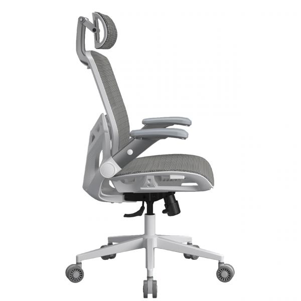 Cougar Speeder One White Toshkentda - fotosurat