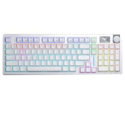 Aula S98 White